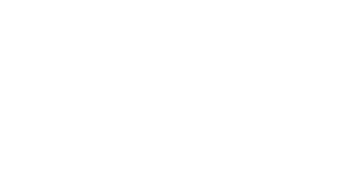 Wealth Standard Insurance